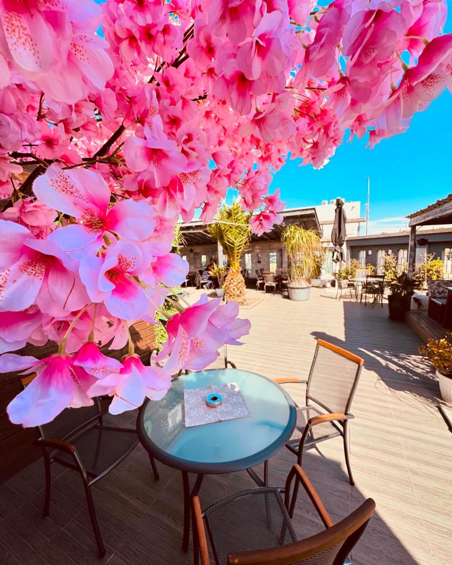 Plaza Hotel Plovdiv Exterior photo